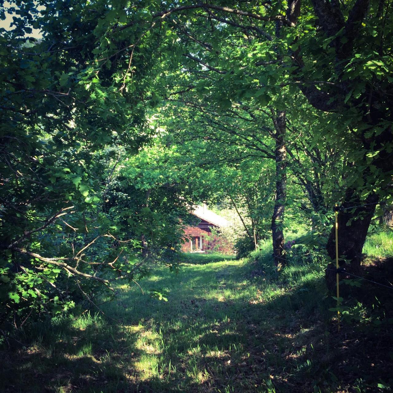 Silver Trees - Glamping Fresse-sur-Moselle Εξωτερικό φωτογραφία